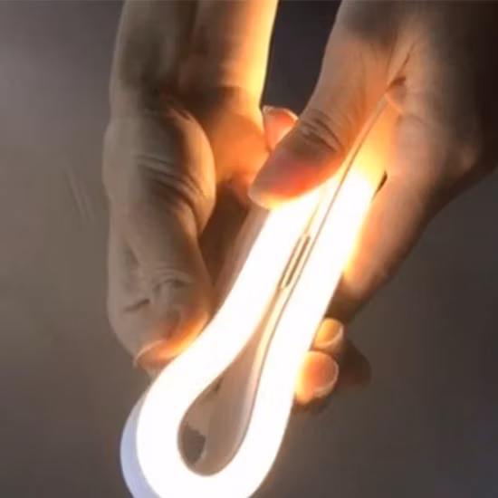 장식 조명 IP67 CCT RGB RGBW 실리콘 네온 플렉스 LED 조명 스트립